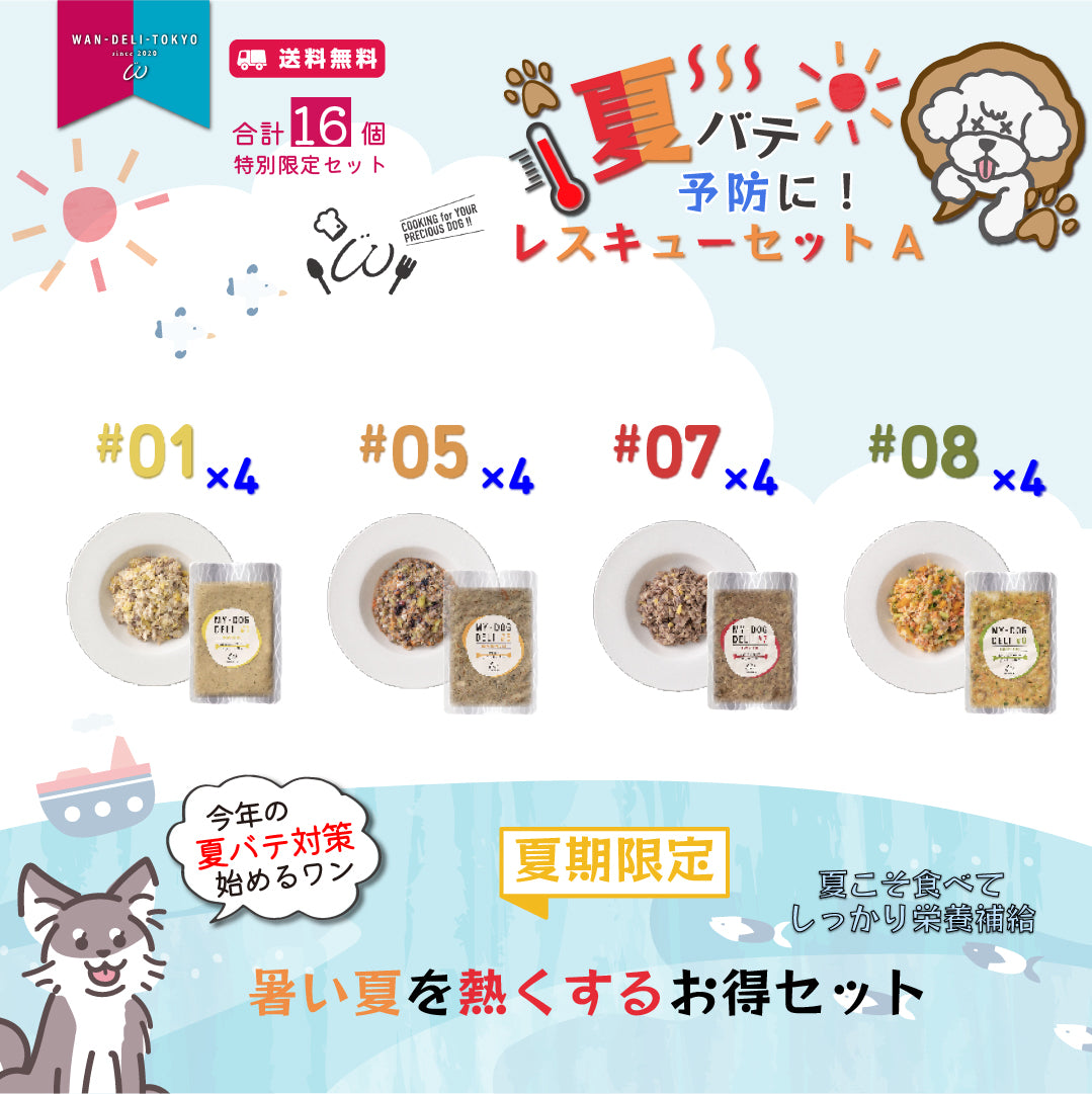 【夏期限定】夏バテ予防に！スタミナレスキューセットA（送料無料）