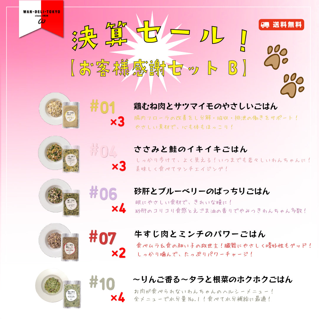 【限定50食！】大特価！決算セール！お客様感謝セットB（送料無料）