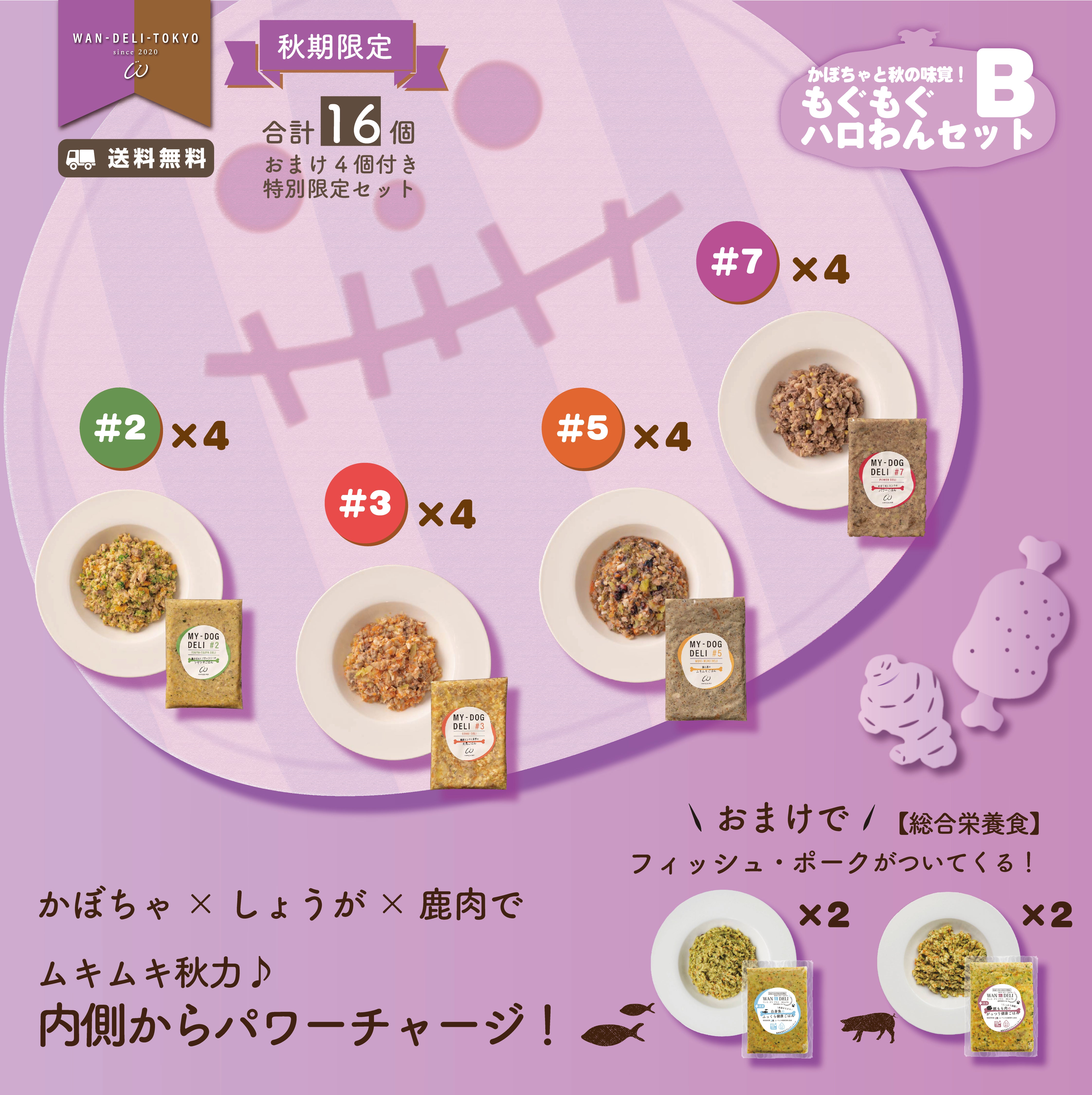 【秋期限定】かぼちゃと秋の味覚！もぐもぐハロわんセットB（送料無料）