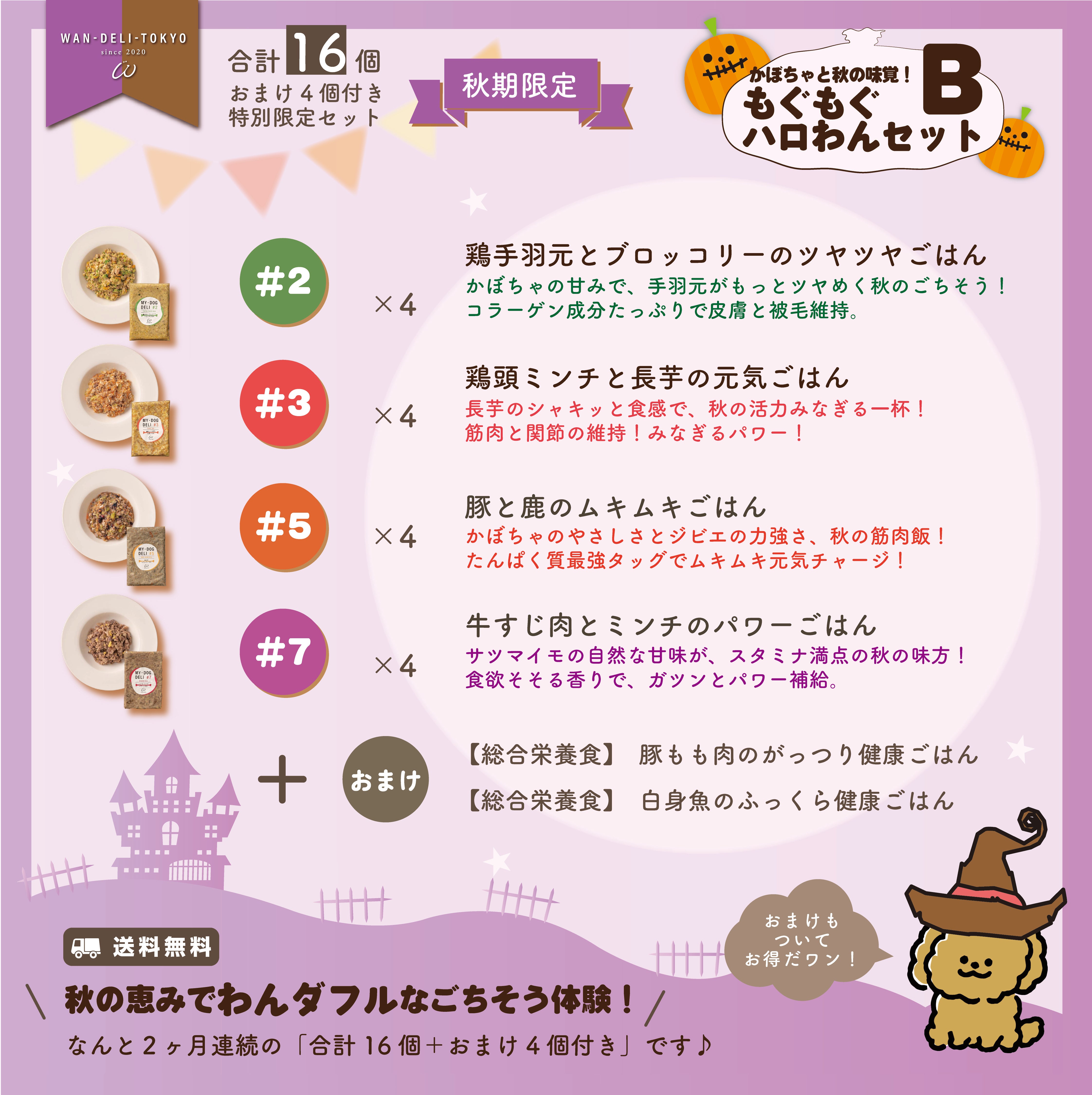 【秋期限定】かぼちゃと秋の味覚！もぐもぐハロわんセットB（送料無料）