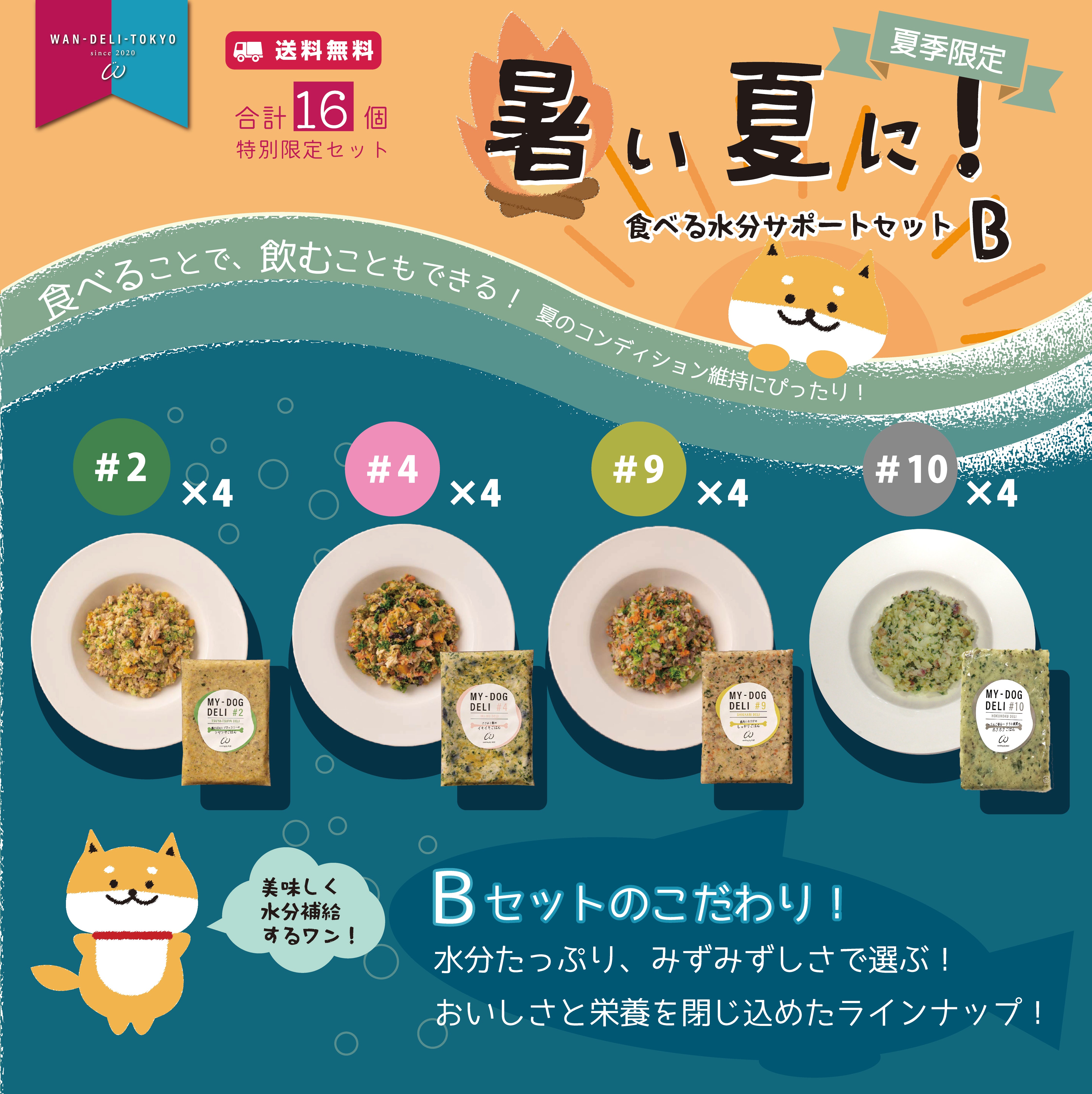 【夏期限定】暑い夏に！食べる水分サポートセットB（送料無料）