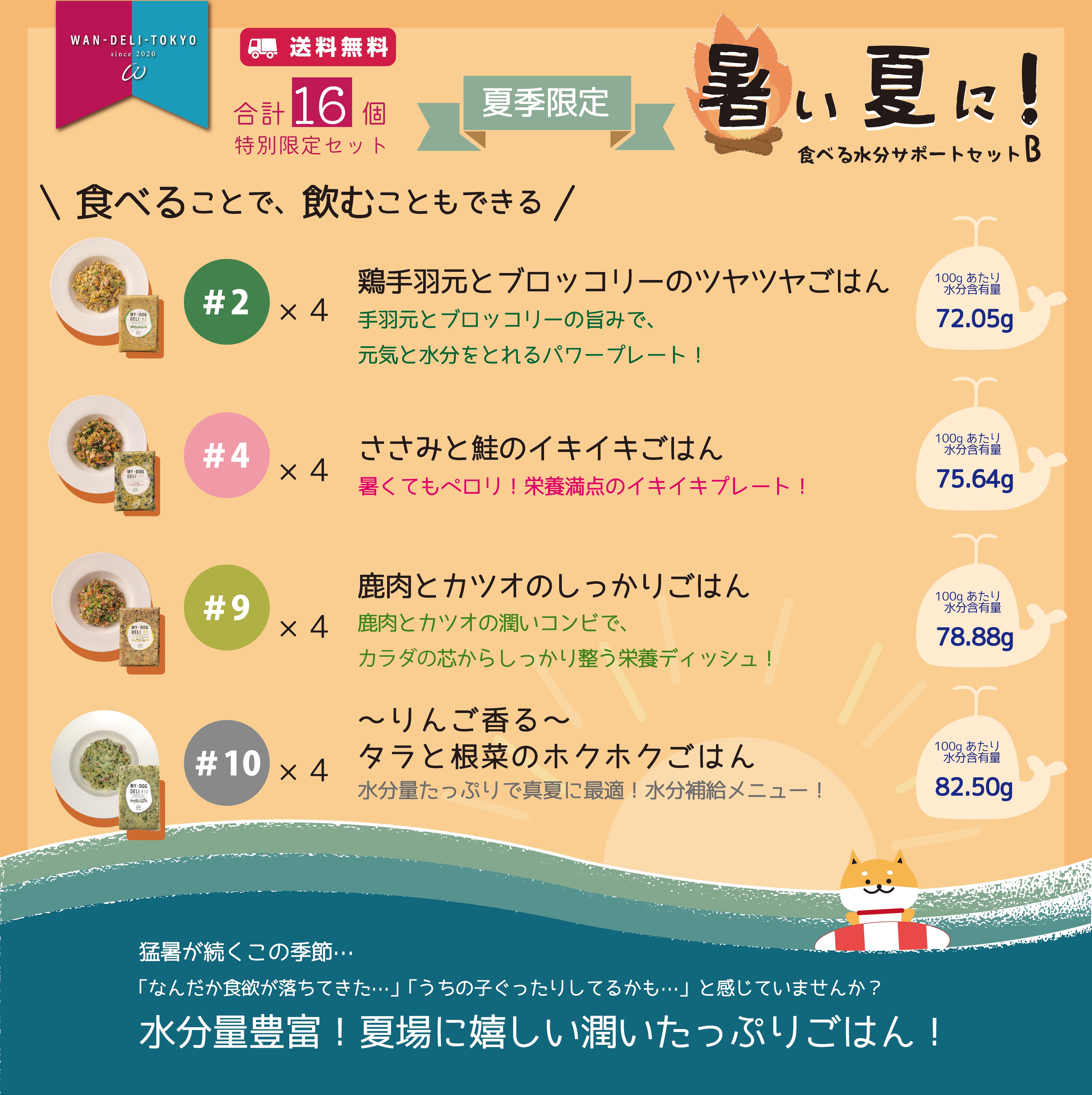【夏期限定】暑い夏に！食べる水分サポートセットB（送料無料）