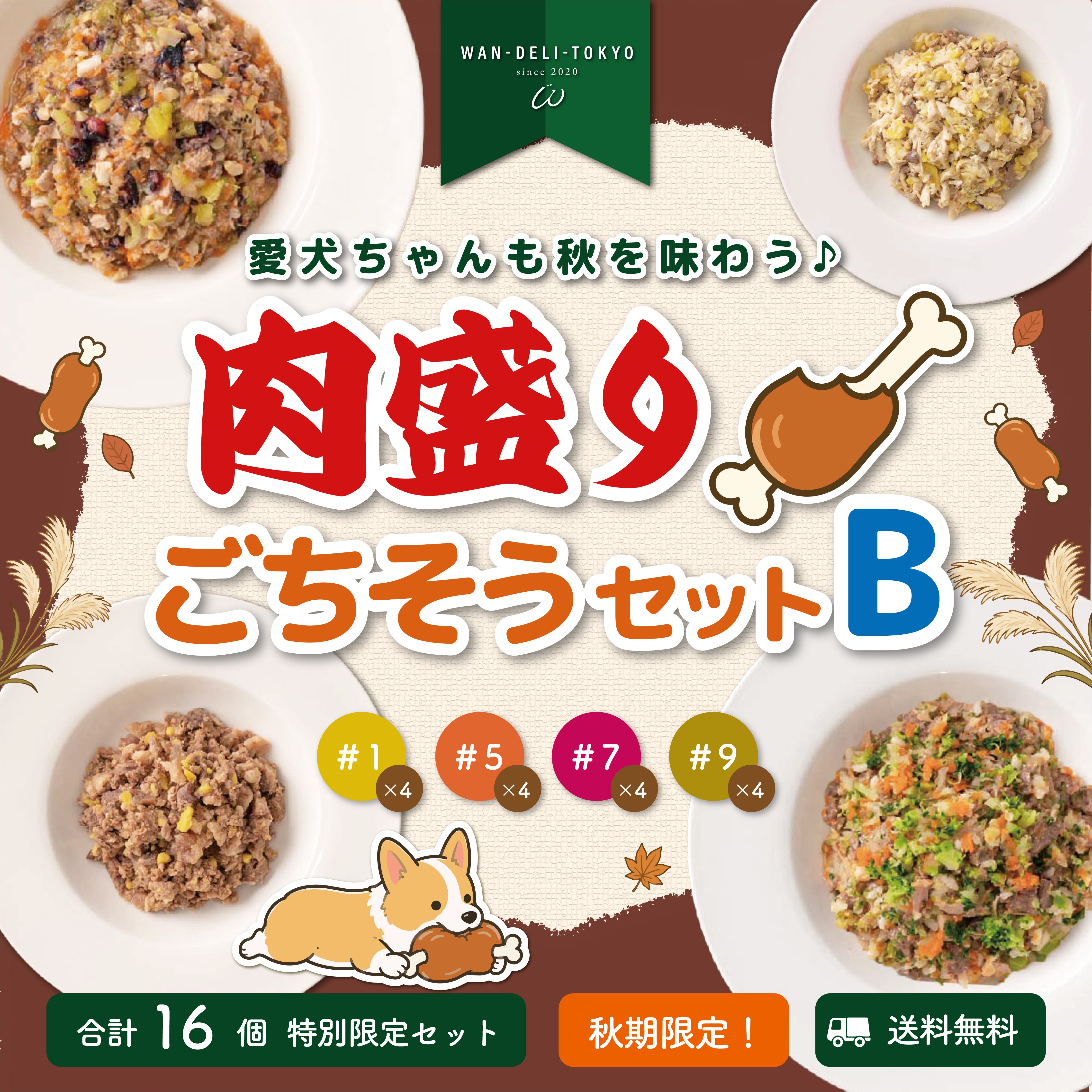 【秋期限定】愛犬ちゃんも秋を味わう♪肉盛りごちそうセットB（送料無料）