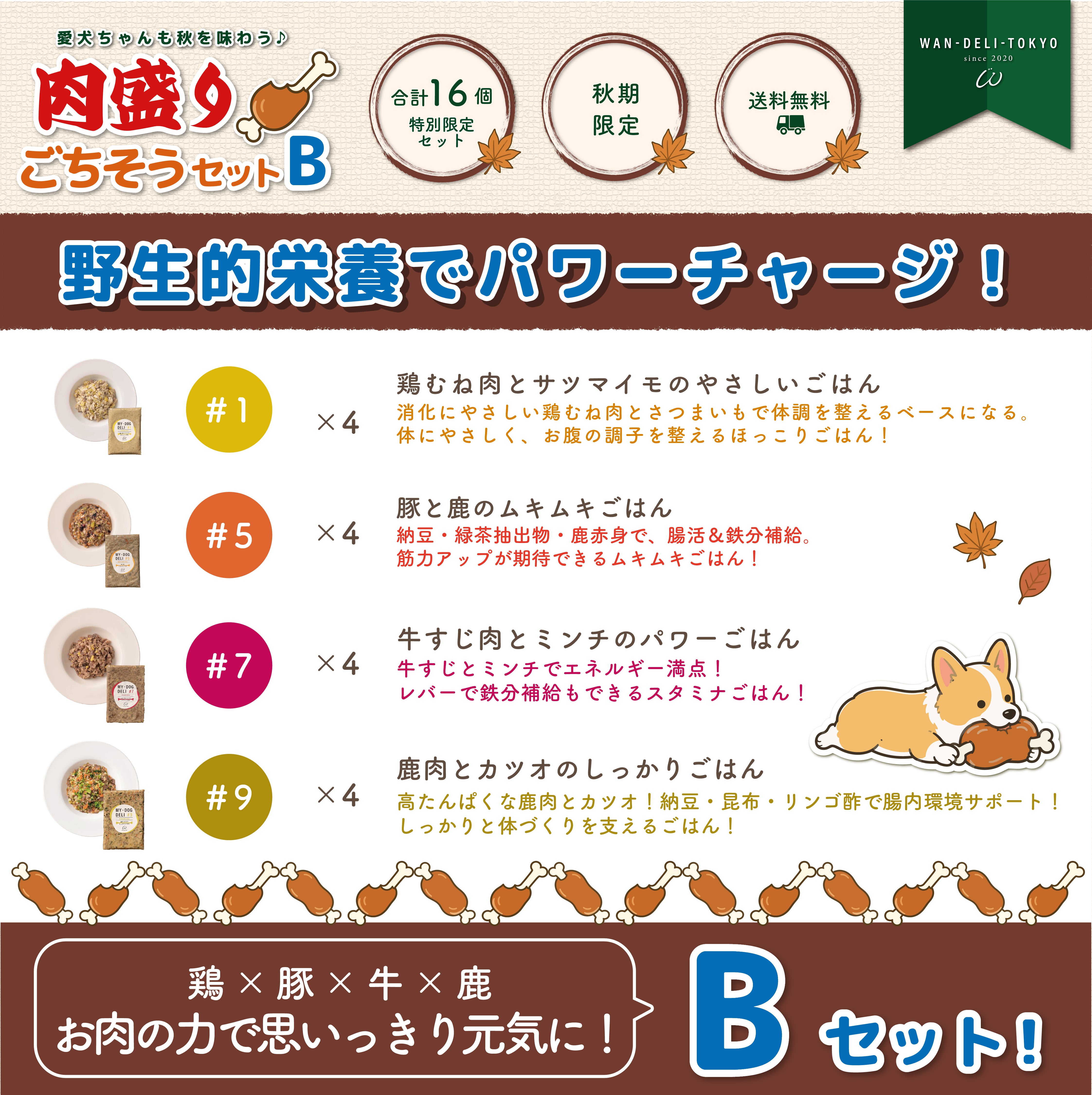 【秋期限定】愛犬ちゃんも秋を味わう♪肉盛りごちそうセットB（送料無料）