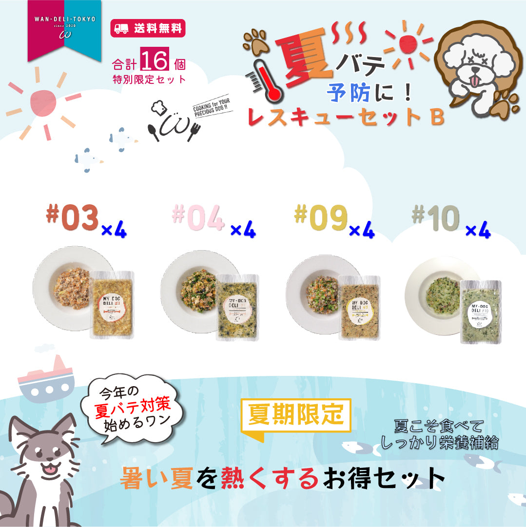 【夏期限定】夏バテ予防に！スタミナレスキューセットB（送料無料）