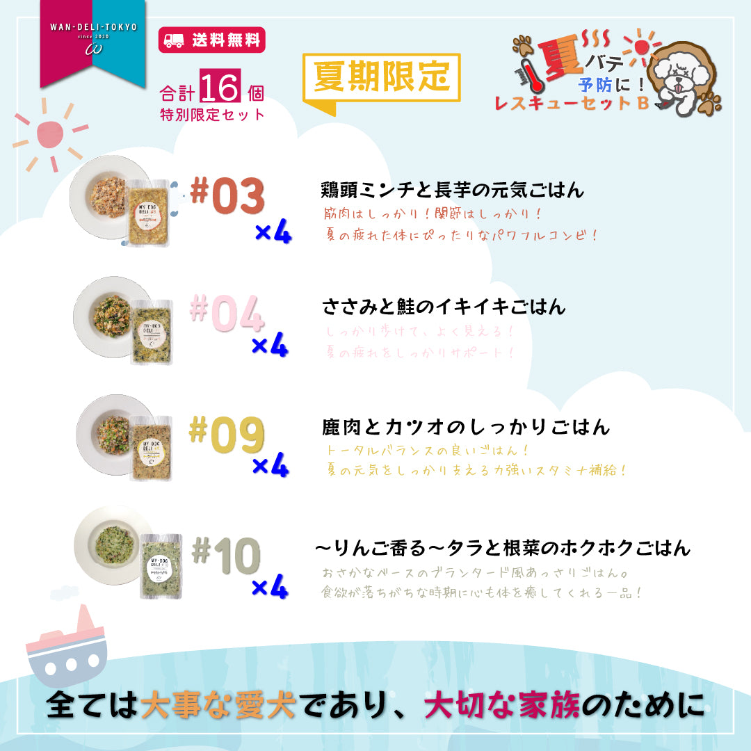 【夏期限定】夏バテ予防に！スタミナレスキューセットB（送料無料）