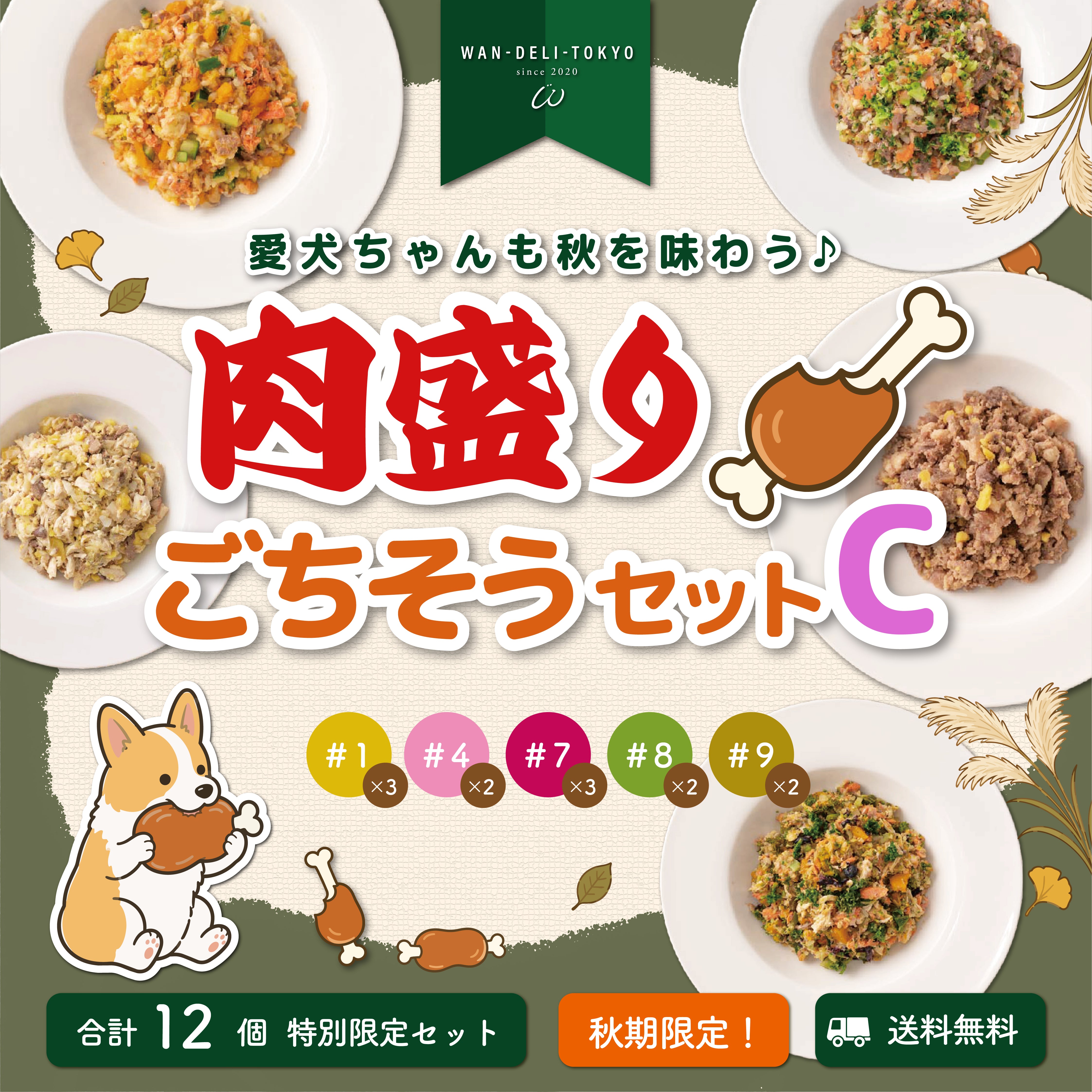 【秋期限定】愛犬ちゃんも秋を味わう♪肉盛りごちそうセットC（送料無料）