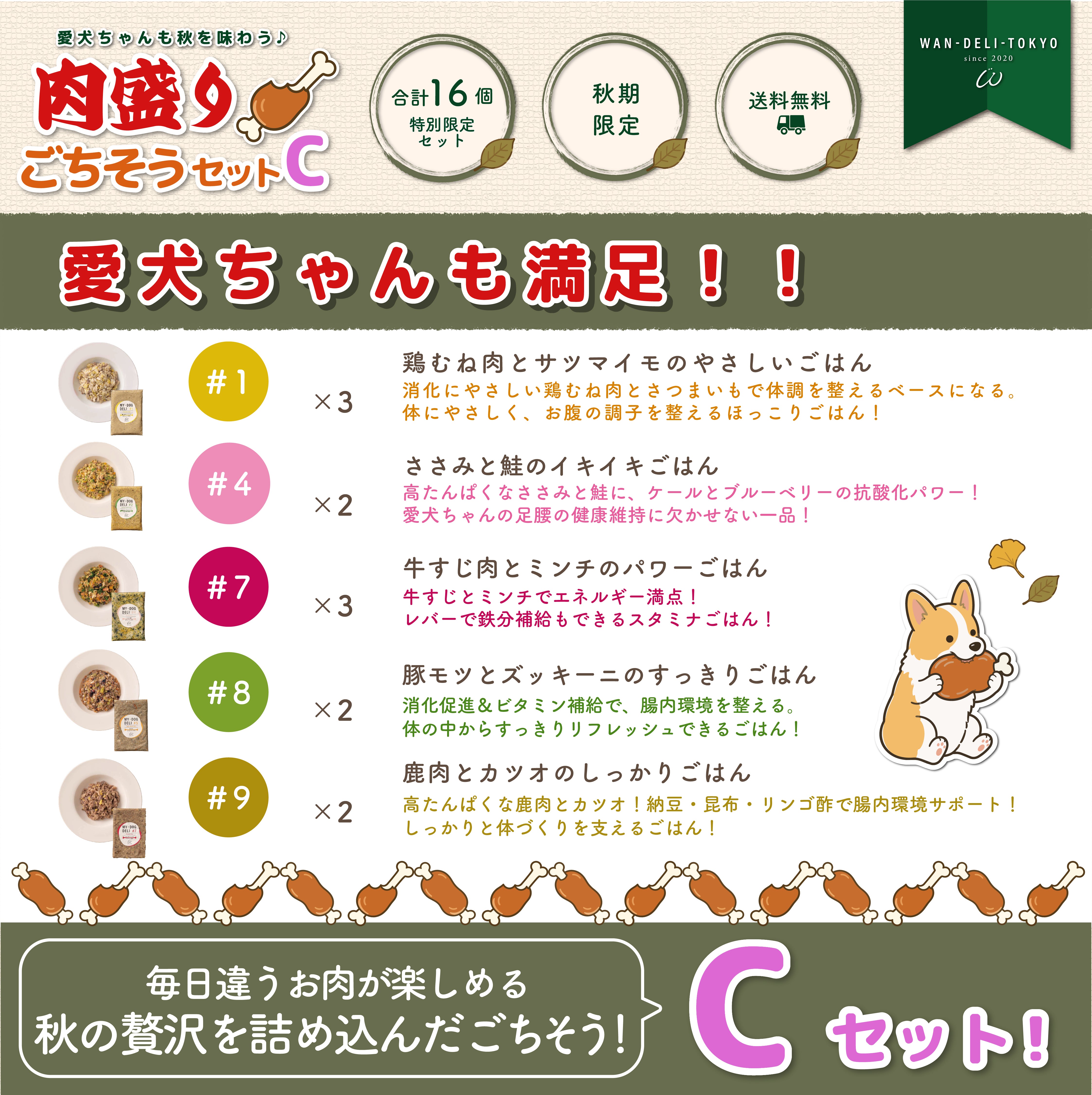 【秋期限定】愛犬ちゃんも秋を味わう♪肉盛りごちそうセットC（送料無料）