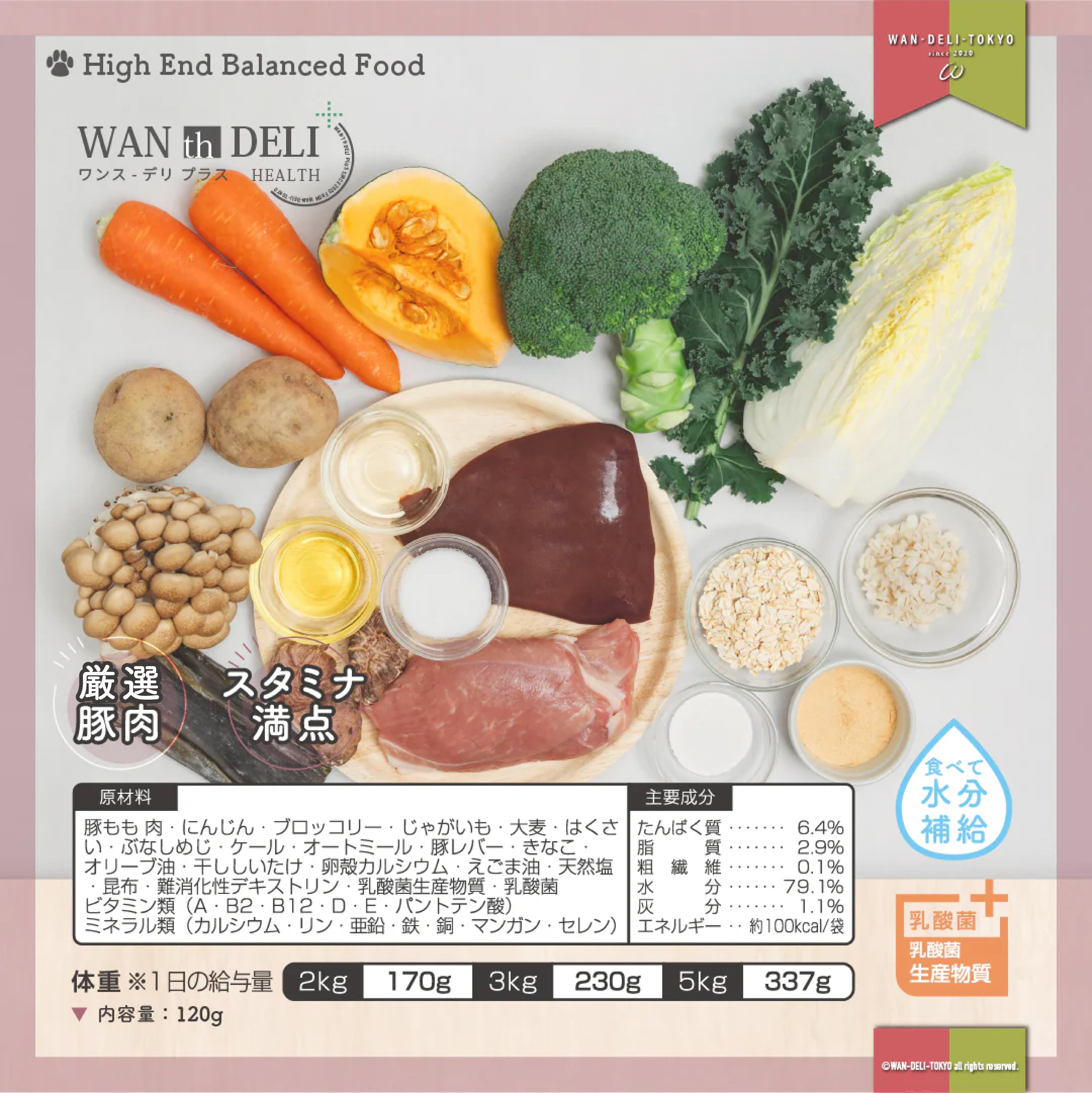 【総合栄養食】ワンスデリプラス 始める健康習慣セット（送料無料）